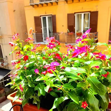 Apartment La Perla Di *